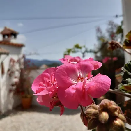 Casa Amani * Vinuela