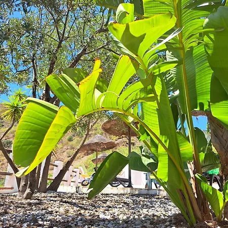 Casa Amani
